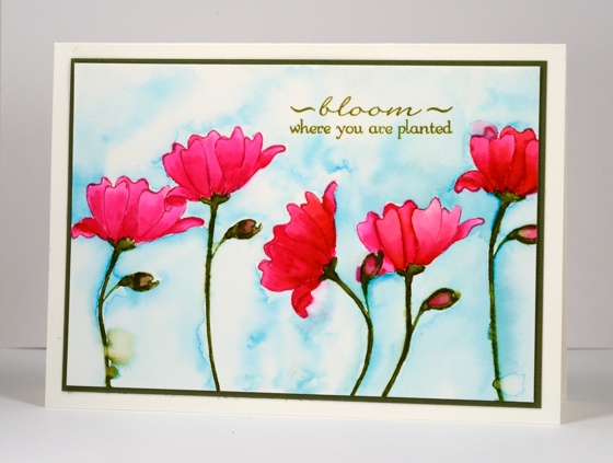 Bloom Heather Telford