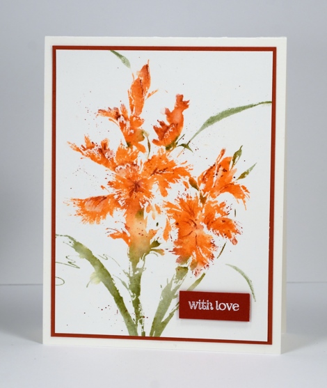 Orange iris Heather Telford