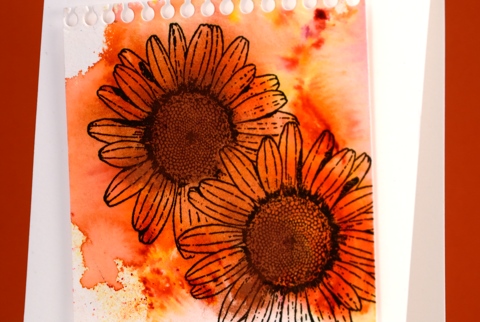 daisies detail Heather Telford