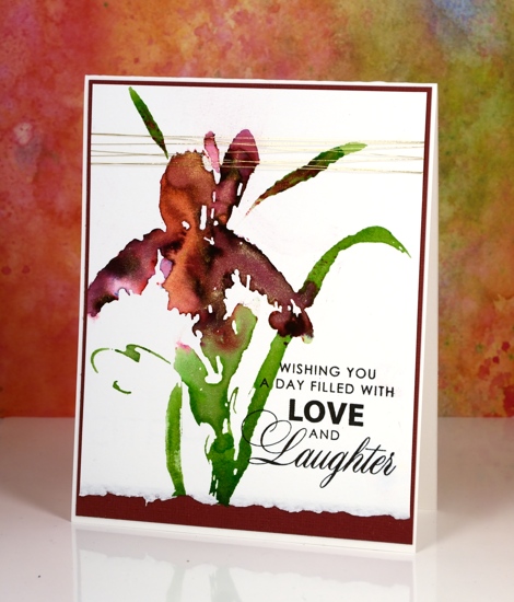 Iris shimmer Heather Telford