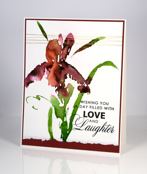  Iris shimmer wb Heather Telford