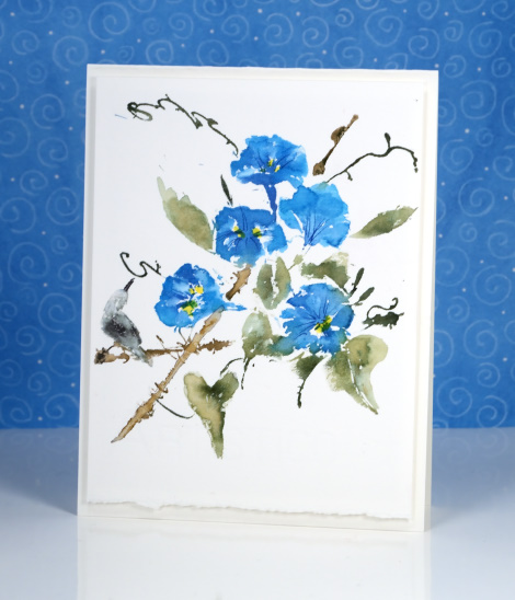 Morning glory Heather Telford