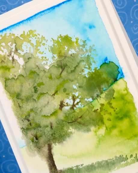 summer field closeup Heather Telford