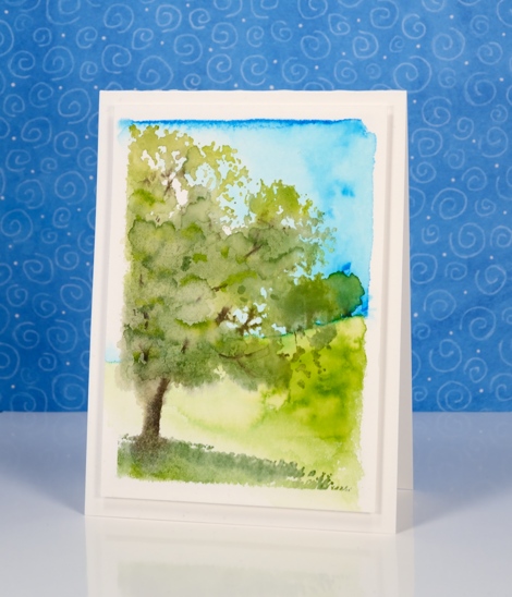 summer field Heather Telford