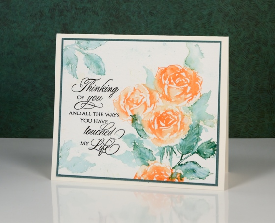 orange roses Heather Telford