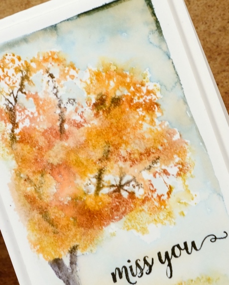 Autumn mist closeup Heather Telford