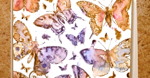  watercoloured butterfly closeup Heather Telford