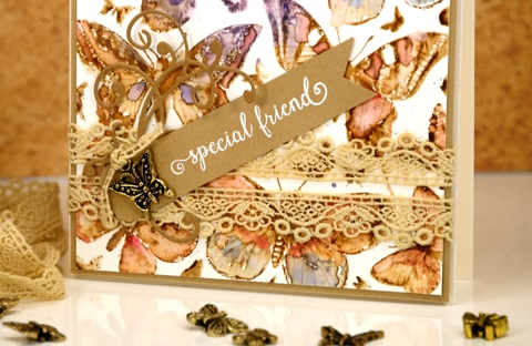 vintage butterfly closeup Heather Telford