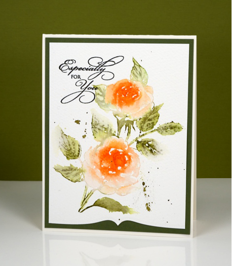 apricot roses Heather Telford