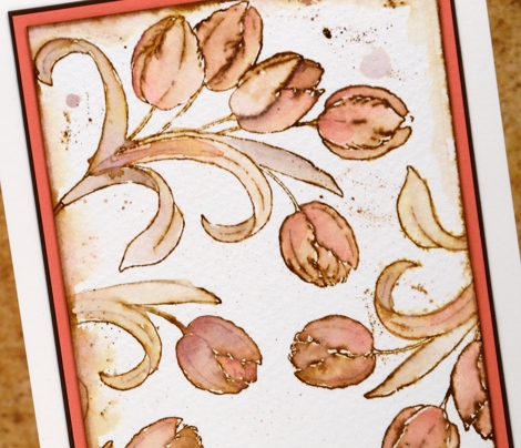 Vintage tulip closeup Heather Telford