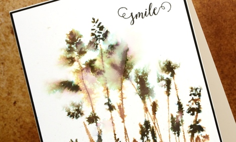 vintage grasses closeup Heather Telford