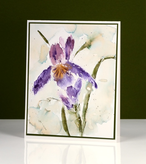 dsc_1338-purple-iris-side-heather-telford