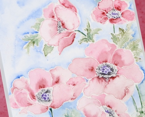 poppy gems close up Heather Telford