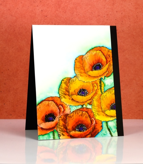 Love art poppies Heather Telford
