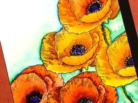  love art poppy close up Heather Telford