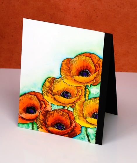 love art poppies above Heather Telford