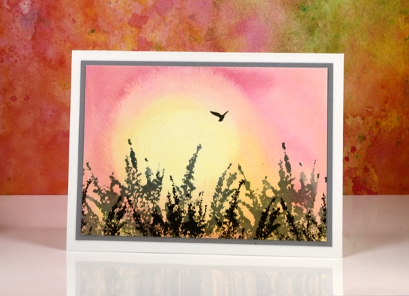  sunrise bird Heather Telford