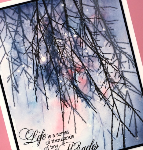  into the sky closeup Heather Telford