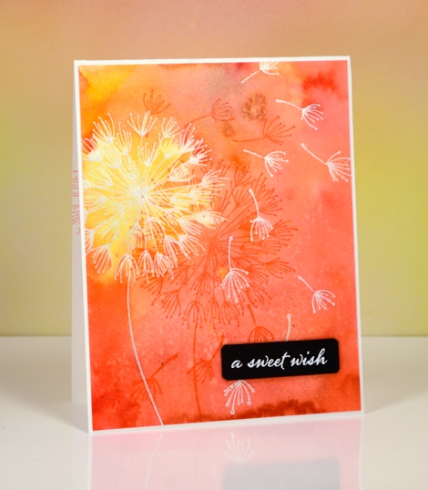  sweet dandee wish Heather Telford