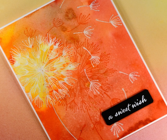 sweet wish close up Heather Telford