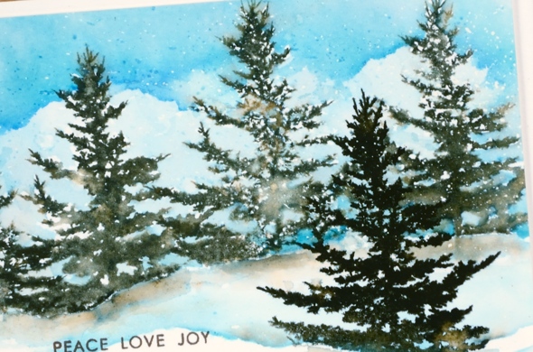  woodland beauty day closeup Heather Telford