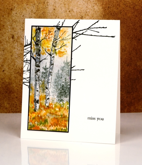 glimpse of birch trees Heather Telford