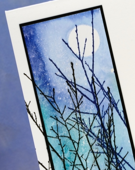 twigs closeup Heather Telford