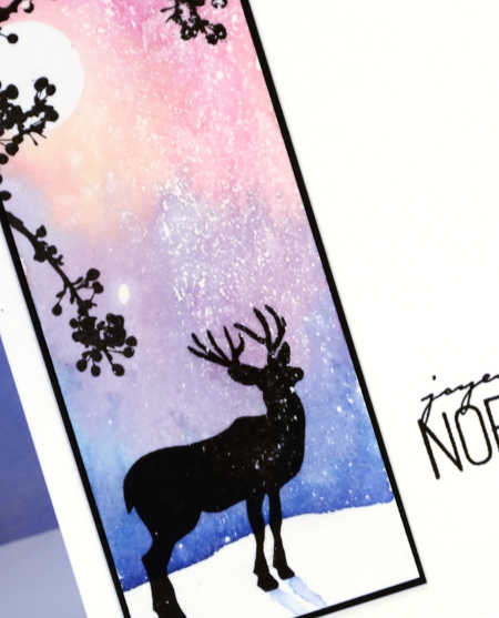 glimpse of a deer closeup Heather Telford