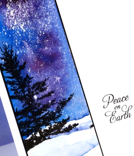  Glimpse of spruce closeup Heather Telford