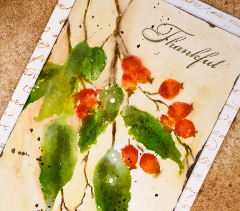 Berry Thankful close-up Heather Telford