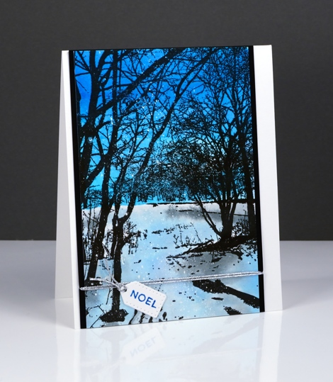 Wintry Trail Heather Telford