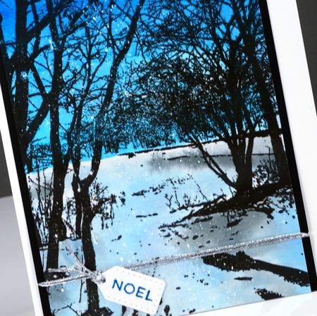 Wintry Trail closeup Heather Telford