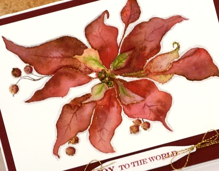 vintage poinsettia closeup Heather Telford