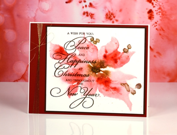 pink poinsettia Heather Telford