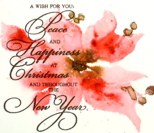 pink poinsettia Heather Telford