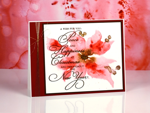 pink poinsettia Heather Telford