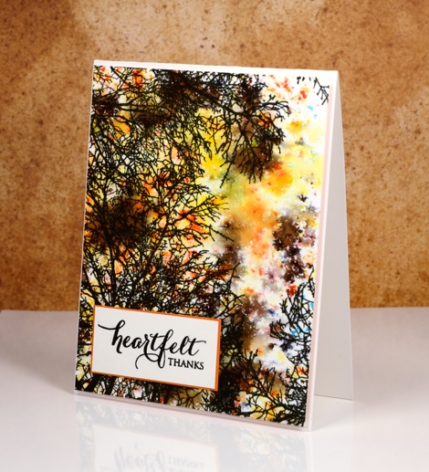 Autumn Skyward Heather Telford