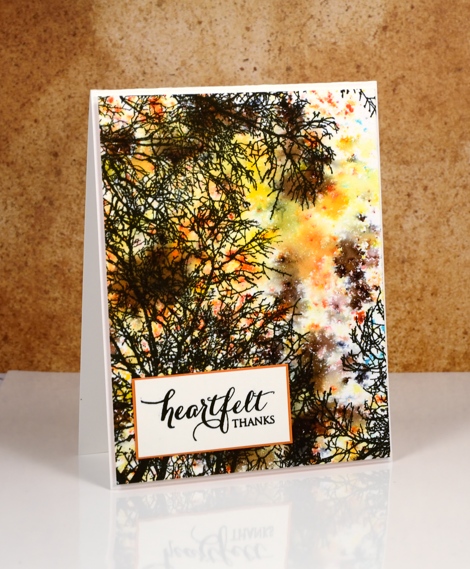 Autumn Skyward Heather Telford