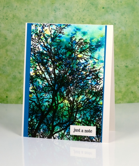 Summer Skyward Heather Telford