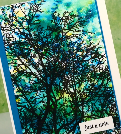 Summer sky close up Heather Telford