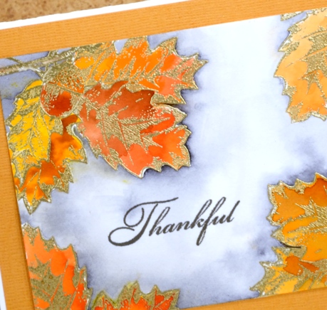 golden leaves close up Heather Telford