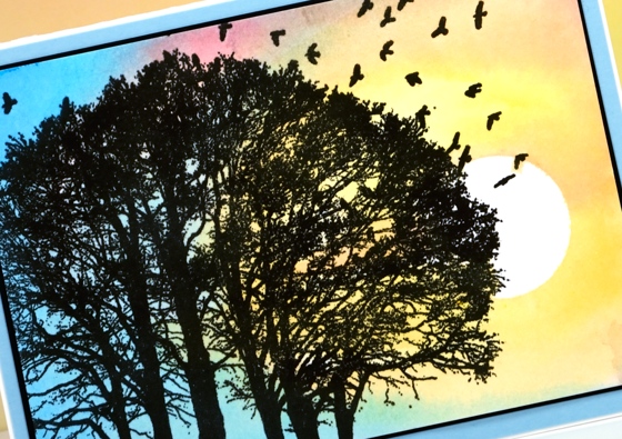 sunset rendezvous closeup Heather Telford