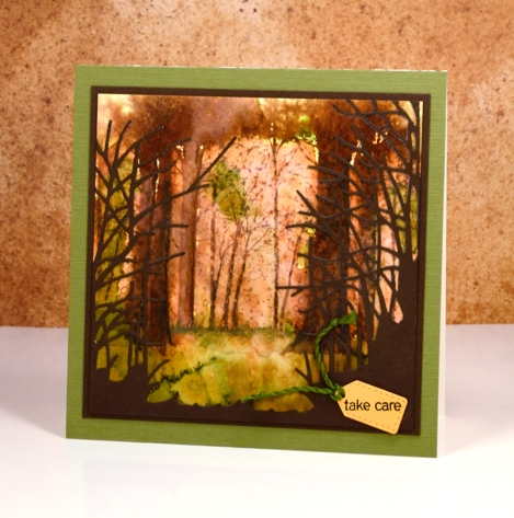 fall forest Heather Telford