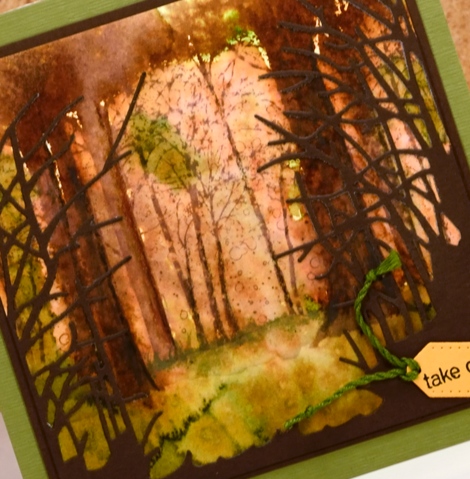 close up fall forest Heather Telford