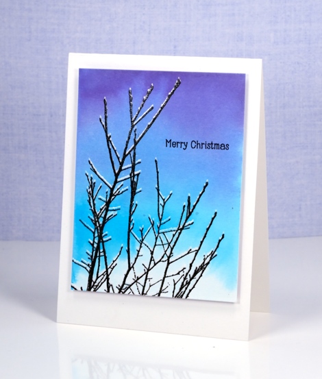 snowy twigs Heather Telford