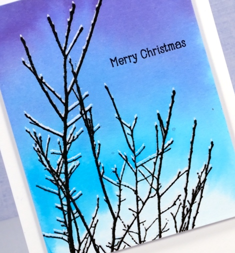 snowy twigs close up Heather Telford