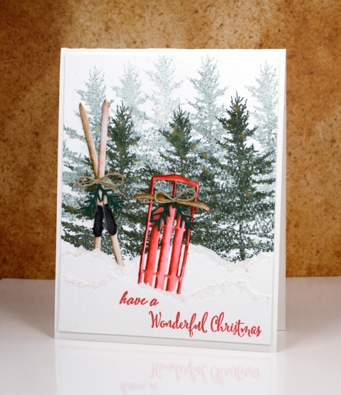 Sled n skis Heather Telford