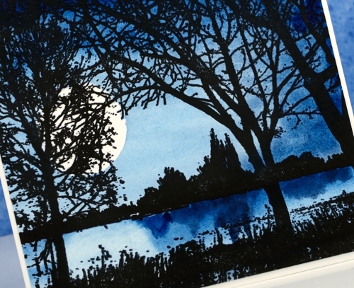 Lake Reflections closeup Heather Telford