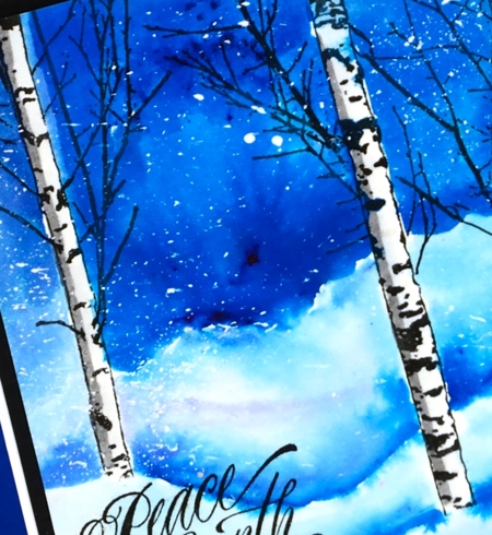 Birches in snow close up Heather Telford