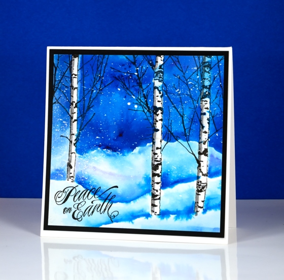 Birches in snow Heather Telford